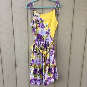 Unique Vintage Hamilton Dress